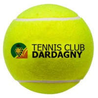 tc Dardagny balle jaune de tennis